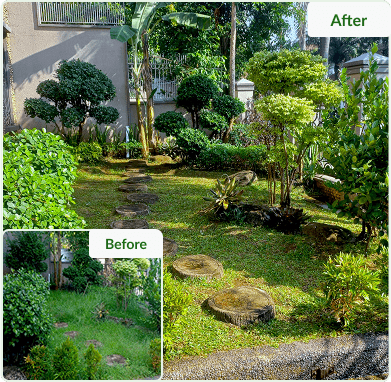 before-after