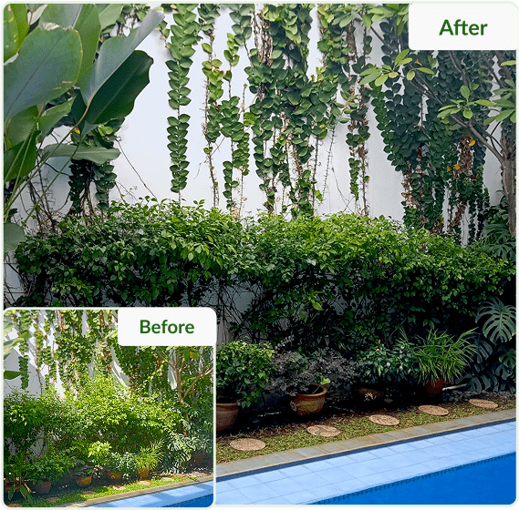 before-after