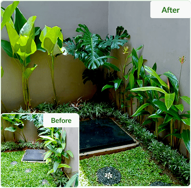 before-after