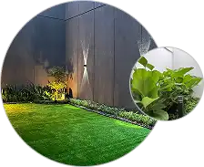 Testimoni Klien Perawatan Taman